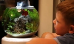Aquarium a gyerek számára