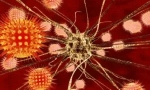 A tick-borne encephalitis diagnózisa, kezelése és megelőzése