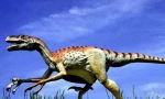 Dromosaur