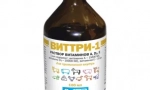 A komplex vittri-1 vitamin készítmények jellemzői macskákhoz