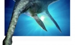 Plesiosaur