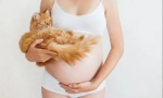 Miért esik a macska a terhes nők hasára