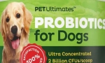 Probiotikus kutyák számára