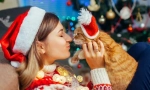 Boldog új évet, macskát! 14 újévi ajándék ötletek a macskák számára