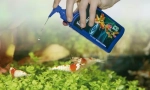 Eszközök az akváriumhoz. Care chemistry, vitaminok, légkondicionálók