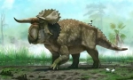 Herbivore dinoszauruszok