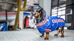 4 Híres adók, amelyek segítenek az embereknek