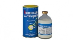 Amoxicillin a macskák számára: tétel, vételi séma és egyéb fontos pontok