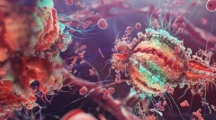 Baktériumok és vírusok