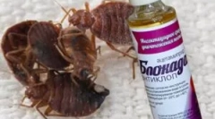 Blokkolja az antiklop és az alkalmazási sorrendet