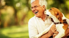 Kutyák veszélyes emberekre