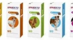 Bravkto kullancsokból, bolhákból és más parazitákból