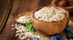 Gyorsfolt kutyák számára