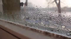 Háztartási és népi jogorvoslatok a penész megsemmisítéséhez