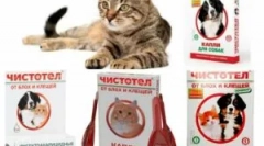 Ünnepelte a bolhák és a kullancsok a macskák és kutyák számára