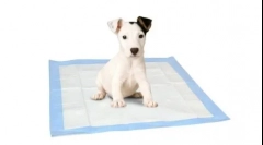 Mi a jobb a kutyáknál - tálca vagy pellery