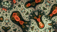 Melyek a legegyszerűbbek?