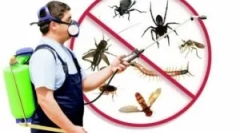 Mi a távolság, faj és rend