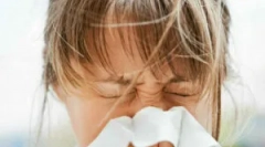 Dermatophage peric vagy por kullancs