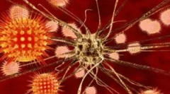 A tick-borne encephalitis diagnózisa, kezelése és megelőzése