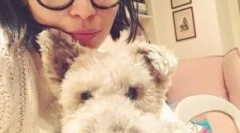 Háziállatok a thrones játék sorozatában