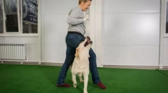 Öltözködés az engedelmességre