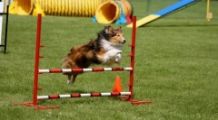 Képzés az akadályok leküzdésére