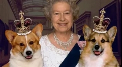 Dupla becenevek kutyáknak, orosznak és külföldieknek