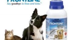 Frontline a macskákhoz: használati utasítás