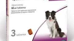 Frontline nexgard és utasítások használatához