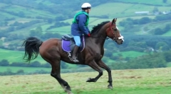 Galopp és átmenet egy alluraból a másikba