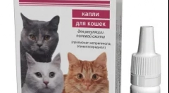 Gestrenol a macskák számára: a találkozó és a használatra vonatkozó ajánlások