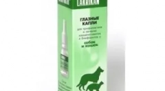 A macskák szemcseppjei