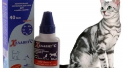 Chelavit c: a gyógyszer és a használat sajátosságai