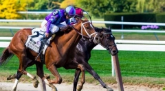 Játékok a lovak részvételével