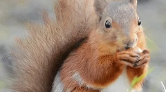 Érdekes tények a fehérjékről