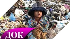 Érdekes tények a környezetszennyezésről