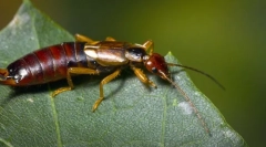 Érdekes tények a lakosságról
