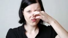 Megszabadulni a döglős egér szaga a házban