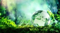 Ökoszisztéma: alkatrészek, szerkezetek, teljesítményláncok