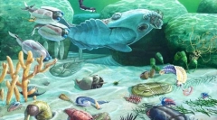 A vadon élő állatok fejlődése