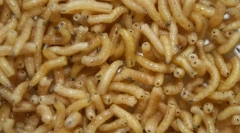 Mivel a lárva hús legyek sérültek?