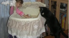 Hogyan viselkedik a macska az újszülötthez