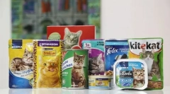 Hogyan lehet lefordítani egy macskát száraz élelmiszerekre más típusú élelmiszerekkel