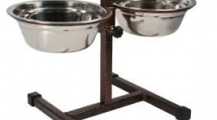 Hogyan viselkedjünk egy kutyával, amely a menedékből vett részt