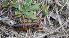 Hogyan mentesek a szél a hidegből?