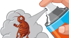 Hogyan hozza létre a föld bolhák otthonról?