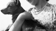 Milyen fajta kutya az angol királynőben