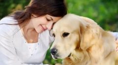 Milyen fajta kutyák illeszkednek különböző zodiákus jelek