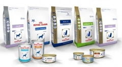 Milyen táplálék: proplan vagy royal kanin?